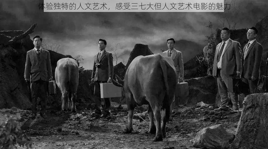 体验独特的人文艺术,感受三七大但人文艺术电影的魅力