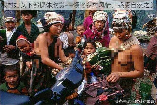 农村妇女下部裸体欣赏——领略乡村风情,感受自然之美