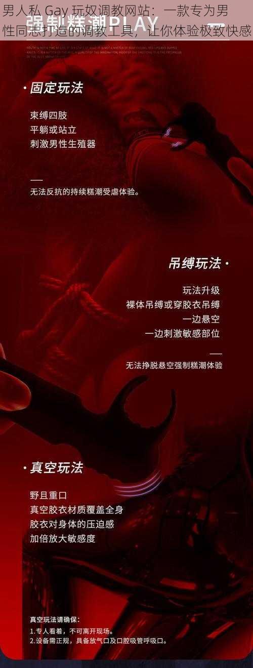 男人私 Gay 玩奴调教网站:一款专为男性同志打造的调教工具,让你体验极致快感