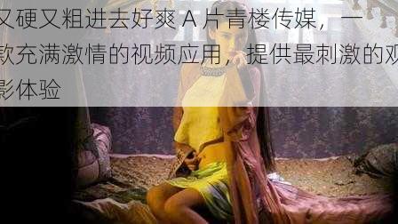 又硬又粗进去好爽 A 片青楼传媒,一款充满激情的视频应用,提供最刺激的观影体验