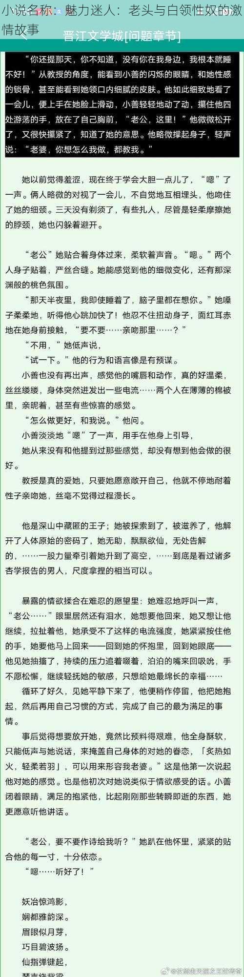 小说名称:魅力迷人:老头与白领性奴的激情故事