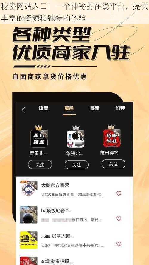 秘密网站入口:一个神秘的在线平台,提供丰富的资源和独特的体验