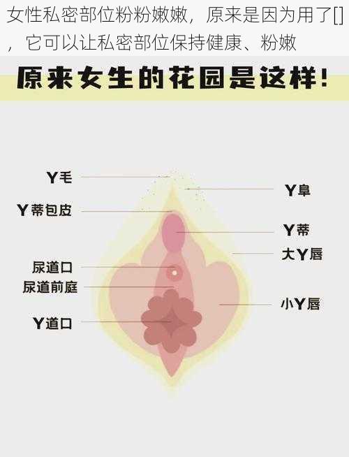 女性私密部位粉粉嫩嫩，原来是因为用了[]，它可以让私密部位保持健康、粉嫩