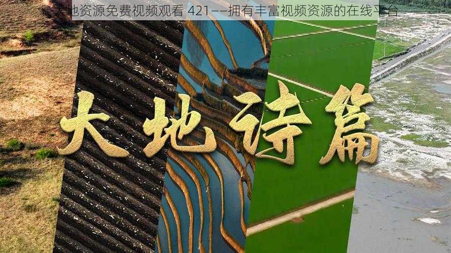 大地资源免费视频观看 421——拥有丰富视频资源的在线平台