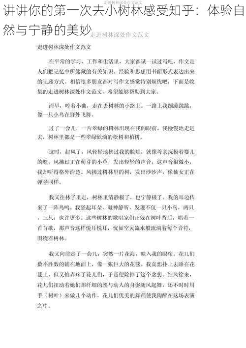 讲讲你的第一次去小树林感受知乎:体验自然与宁静的美妙