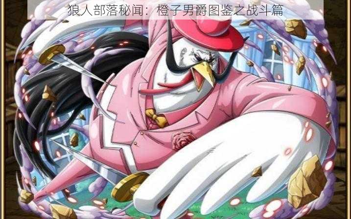 狼人部落秘闻：橙子男爵图鉴之战斗篇