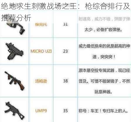 绝地求生刺激战场之王:枪综合排行及推荐分析
