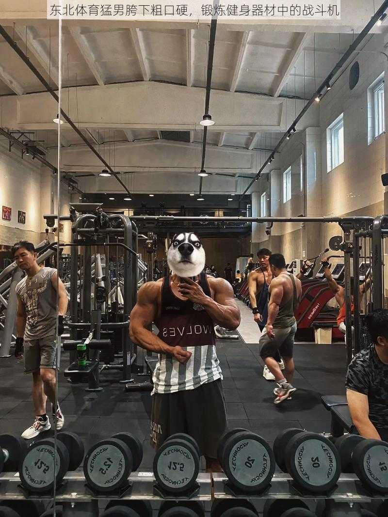 东北体育猛男胯下粗口硬,锻炼健身器材中的战斗机