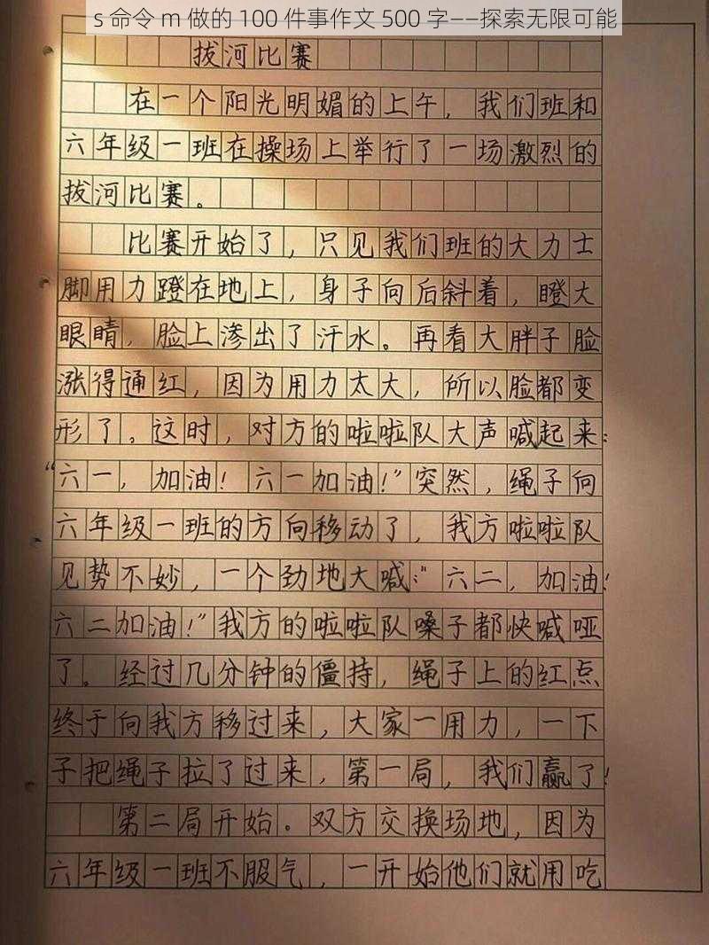 s 命令 m 做的 100 件事作文 500 字——探索无限可能