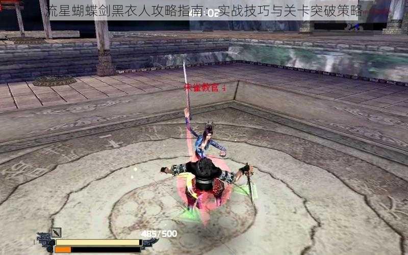 流星蝴蝶剑黑衣人攻略指南:实战技巧与关卡突破策略