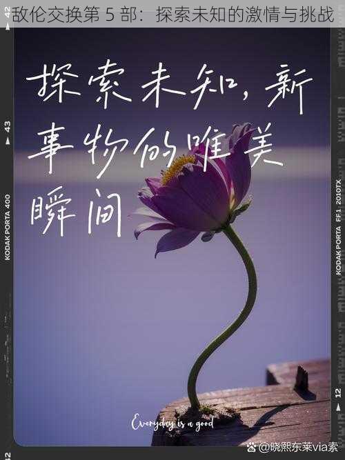 敌伦交换第 5 部:探索未知的激情与挑战