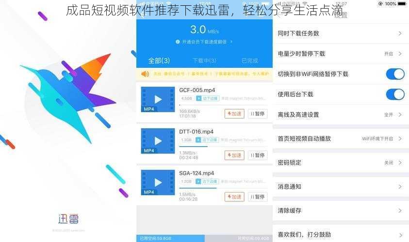 成品短视频软件推荐下载迅雷,轻松分享生活点滴