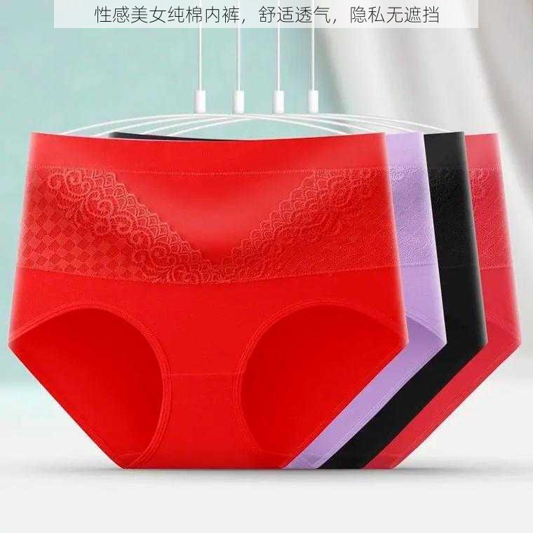 性感美女纯棉内裤,舒适透气,隐私无遮挡