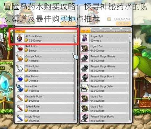 冒险岛药水购买攻略:探寻神秘药水的购买渠道及最佳购买地点推荐