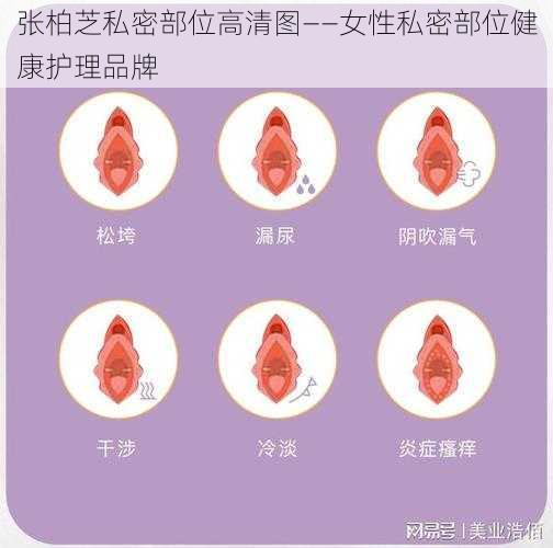 张柏芝私密部位高清图——女性私密部位健康护理品牌