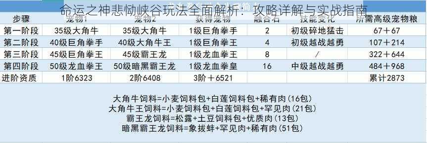 命运之神悲恸峡谷玩法全面解析:攻略详解与实战指南
