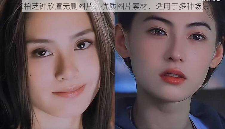张柏芝钟欣潼无删图片:优质图片素材,适用于多种场景