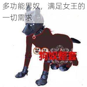 多功能男奴,满足女王的一切需求