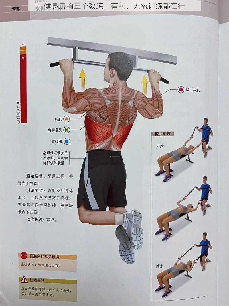 健身房的三个教练,有氧、无氧训练都在行