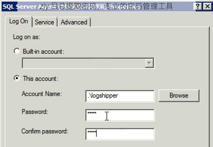 zjy 吕总提取密码,专业的密码管理工具