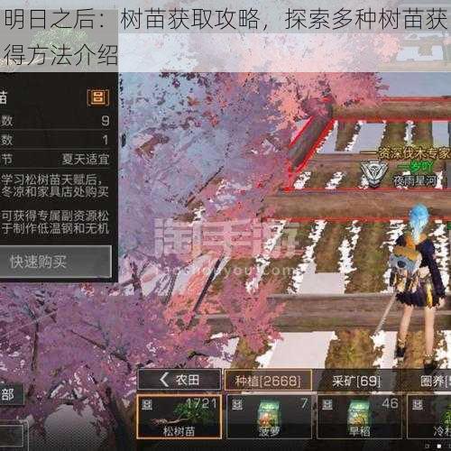 明日之后:树苗获取攻略,探索多种树苗获得方法介绍