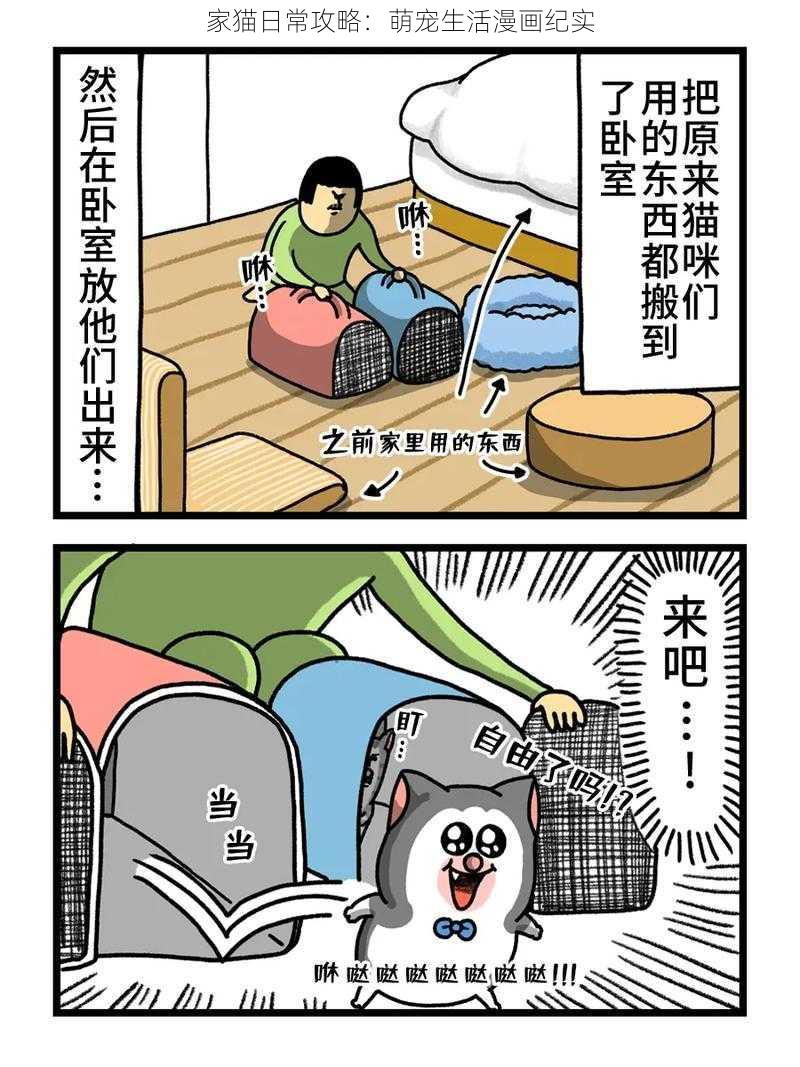 家猫日常攻略:萌宠生活漫画纪实