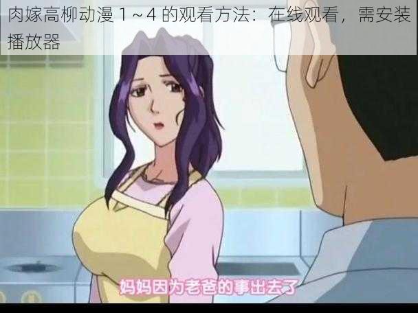 肉嫁高柳动漫 1~4 的观看方法:在线观看,需安装播放器