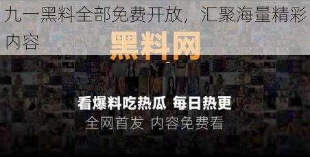 九一黑料全部免费开放,汇聚海量精彩内容