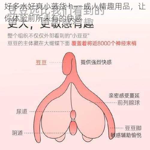 好多水好爽小荡货 h——成人情趣用品,让你体验前所未有的快感