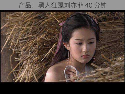 产品:黑人狂躁刘亦菲 40 分钟