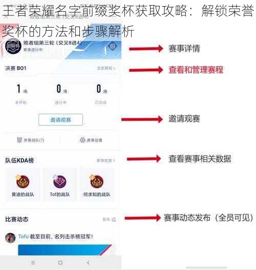 王者荣耀名字前缀奖杯获取攻略:解锁荣誉奖杯的方法和步骤解析