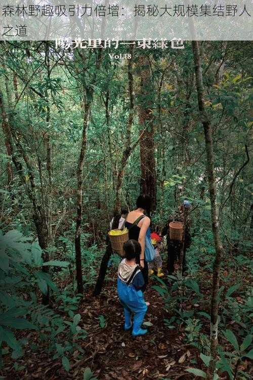 森林野趣吸引力倍增:揭秘大规模集结野人之道