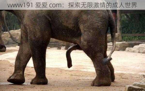 www191 爱爱 com:探索无限激情的成人世界