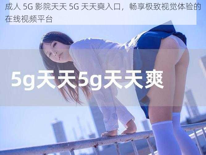 成人 5G 影院天天 5G 天天奭入口,畅享极致视觉体验的在线视频平台