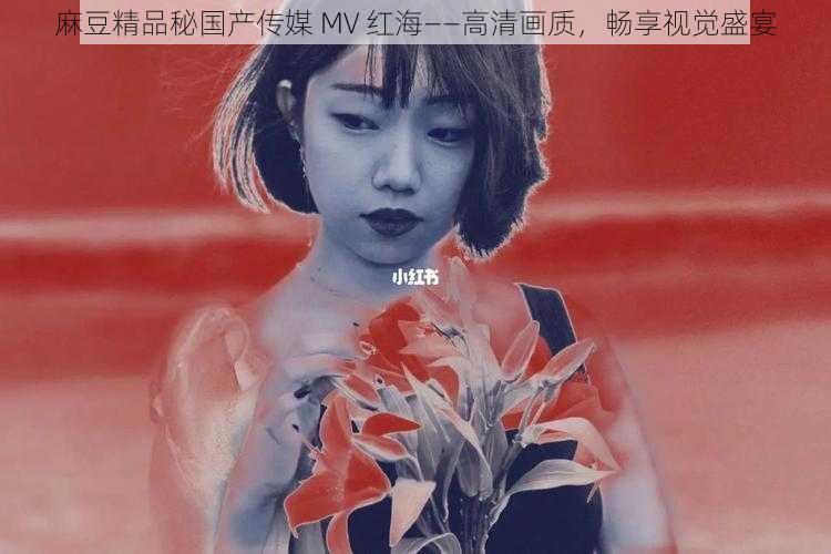 麻豆精品秘国产传媒 MV 红海——高清画质,畅享视觉盛宴
