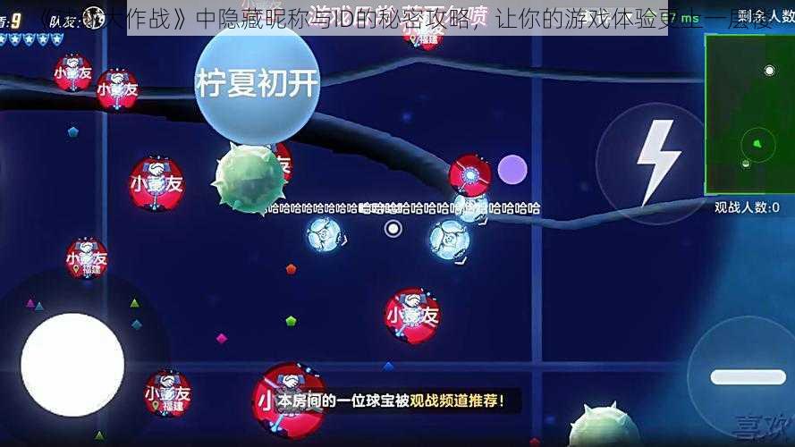 《球球大作战》中隐藏昵称与ID的秘密攻略,让你的游戏体验更上一层楼