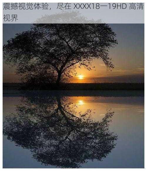 震撼视觉体验,尽在 XXXX18一19HD 高清视界
