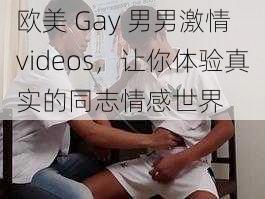 欧美 Gay 男男激情 videos,让你体验真实的同志情感世界