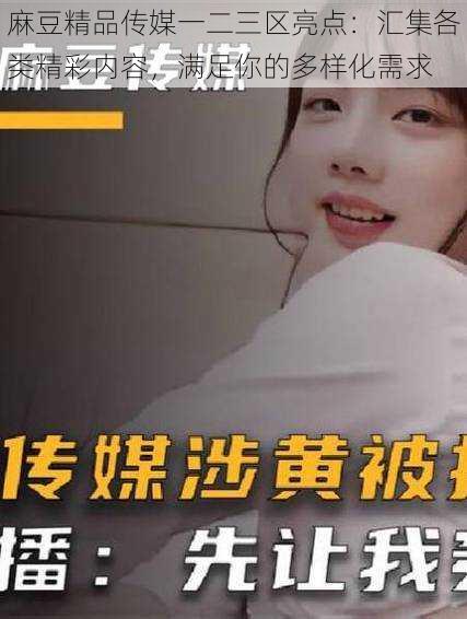 麻豆精品传媒一二三区亮点:汇集各类精彩内容,满足你的多样化需求