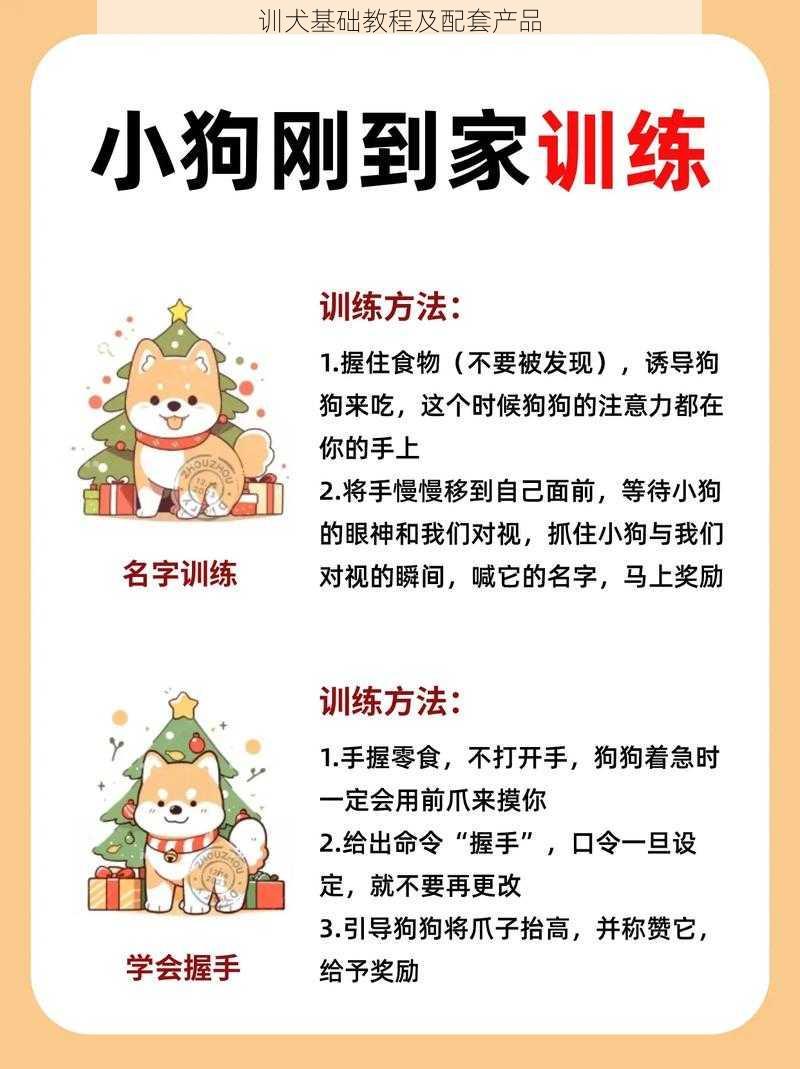 训犬基础教程及配套产品