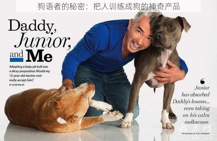 狗语者的秘密:把人训练成狗的神奇产品