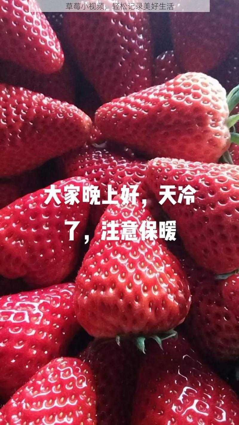 草莓小视频,轻松记录美好生活