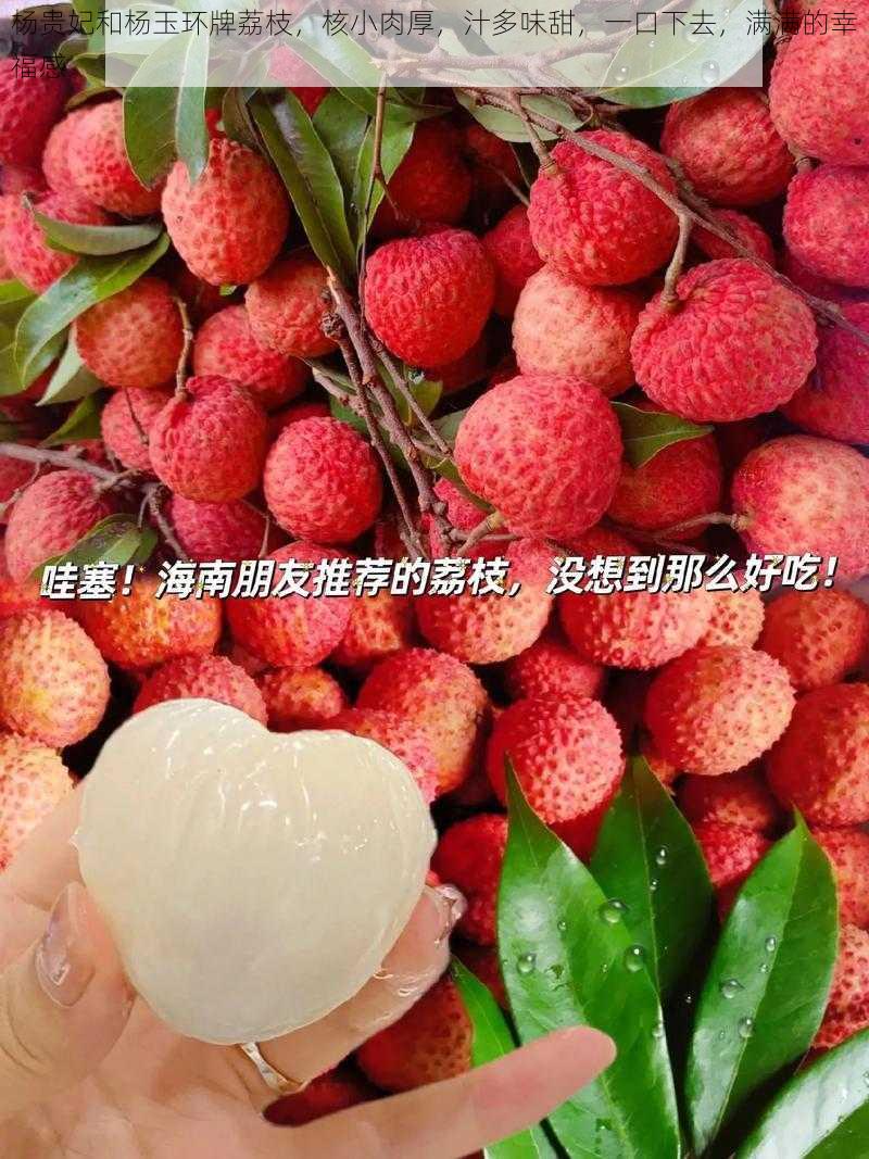 杨贵妃和杨玉环牌荔枝,核小肉厚,汁多味甜,一口下去,满满的幸福感