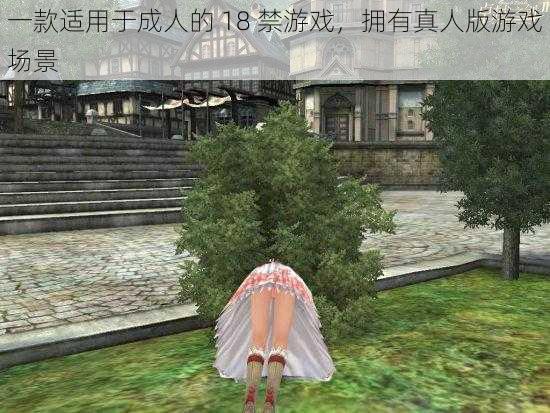 一款适用于成人的 18 禁游戏,拥有真人版游戏场景