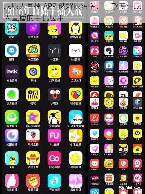 成版人直播 APP 破解版污播,一款专注成人直播的手机应用