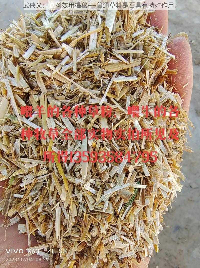 武侠乂:草料效用揭秘——普通草料是否具有特殊作用?