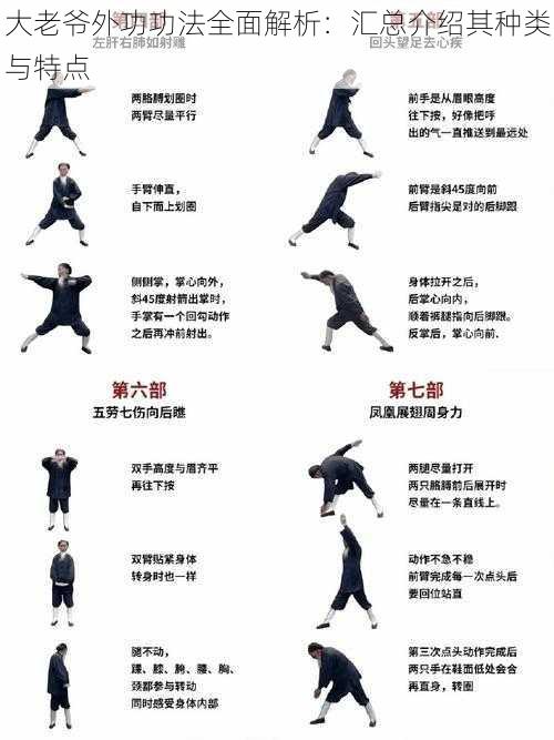 大老爷外功功法全面解析：汇总介绍其种类与特点