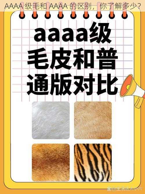 AAAA 级毛和 AAAA 的区别,你了解多少?