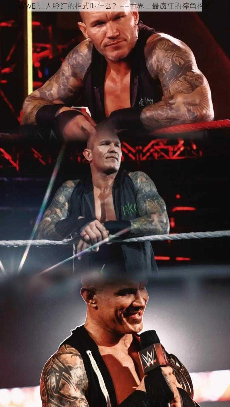 WWE 让人脸红的招式叫什么?——世界上最疯狂的摔角招式