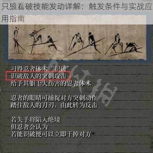只狼看破技能发动详解:触发条件与实战应用指南
